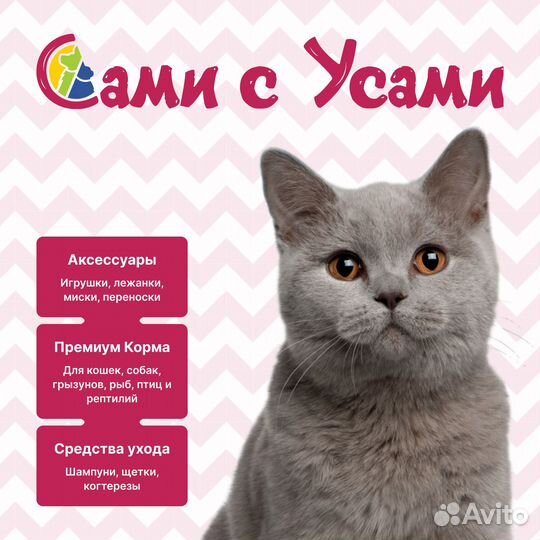 Royal canin Mini Adult 8+ Корм сух.д/стареющих соб