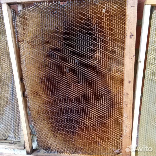 Рамки с вощиной(сушь)