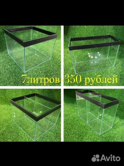 Аквариумы и террариумы готовые и под заказ