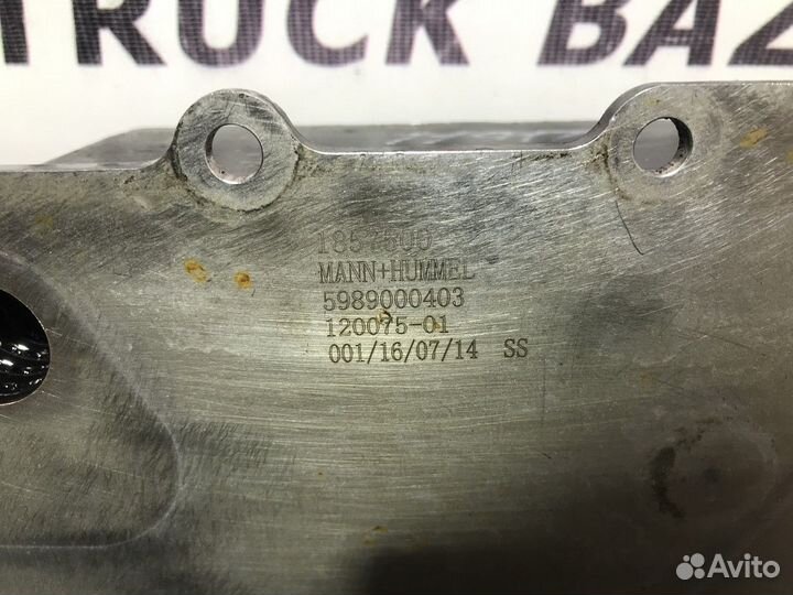 Радиатор масляный Daf XF106