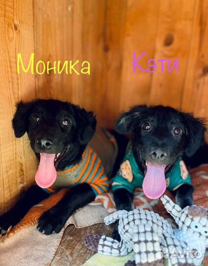 Залюбуйся нами