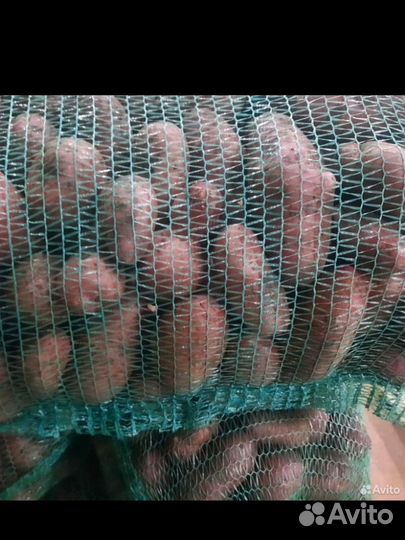 Картошка с доставкой