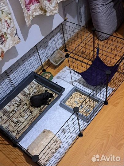 Вольер для животных