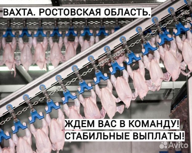 Фасовщик. Вахта. г. Шахты