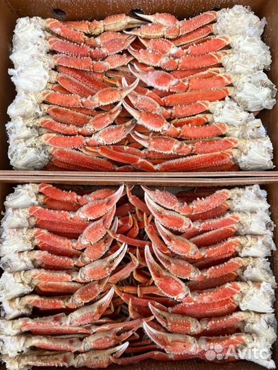 Краб Стригун