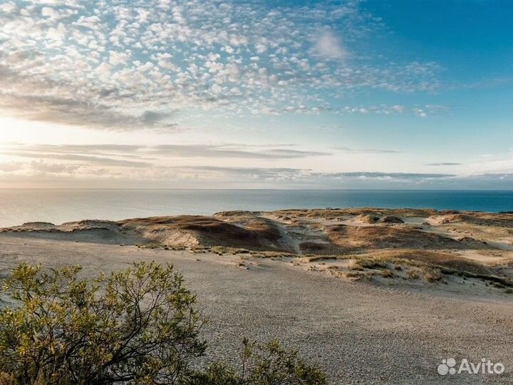 Экскурсия — Калининград — Куршская коса и Зеленогр