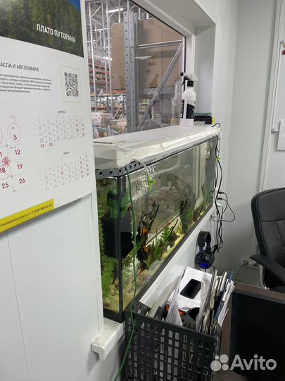 Аквариум