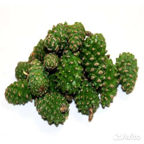 Шишки сосновые