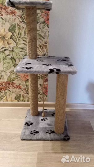 Когтеточка