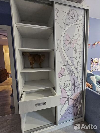 Шкаф-купе Леди фабрики Scand