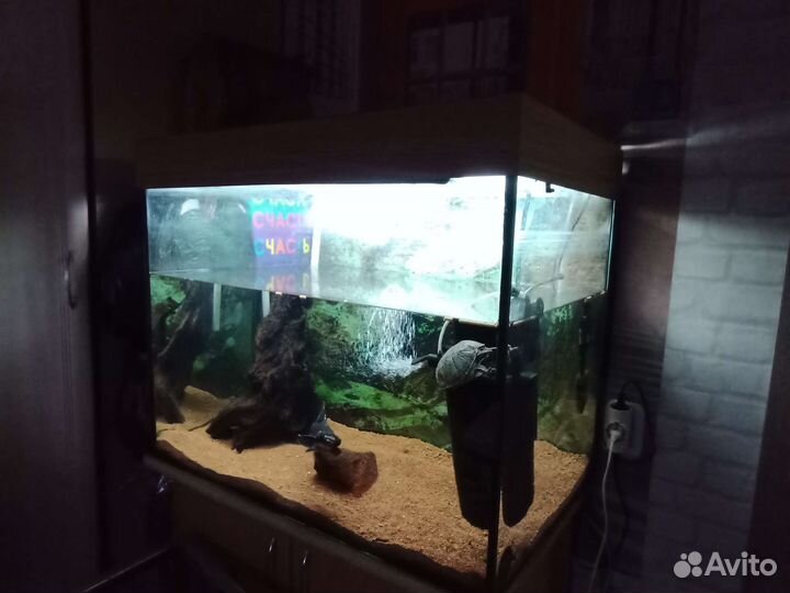 Продаю аквариум