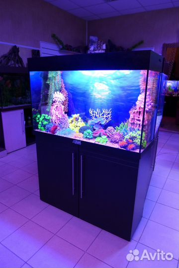Аквариум 240л на Тумбе с крышк. цвета Черная кожа