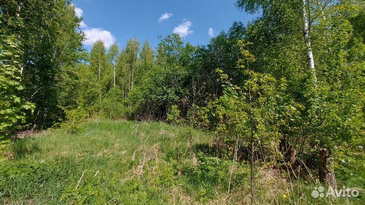 Расчистка от деревьев и кустарников, покос травы