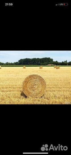 Солома в рулонах