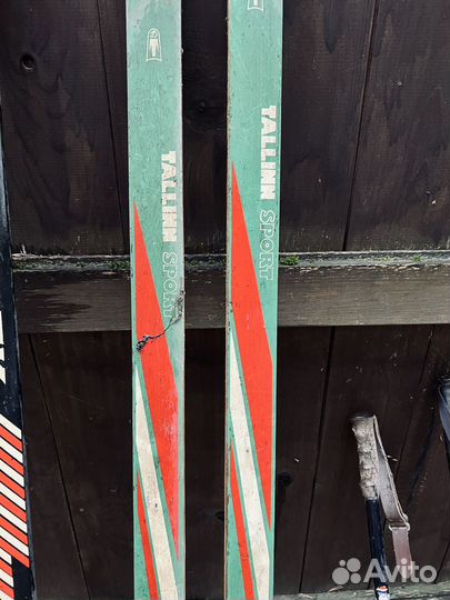 Горные лыжи