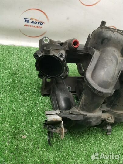 Впускной коллектор Ford Focus 3 хетчбэк 1.6 pnda
