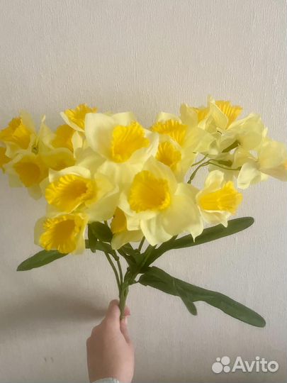 Нарциссы искусственные