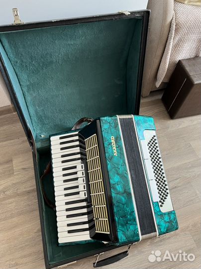 Аккордеон Аккорд