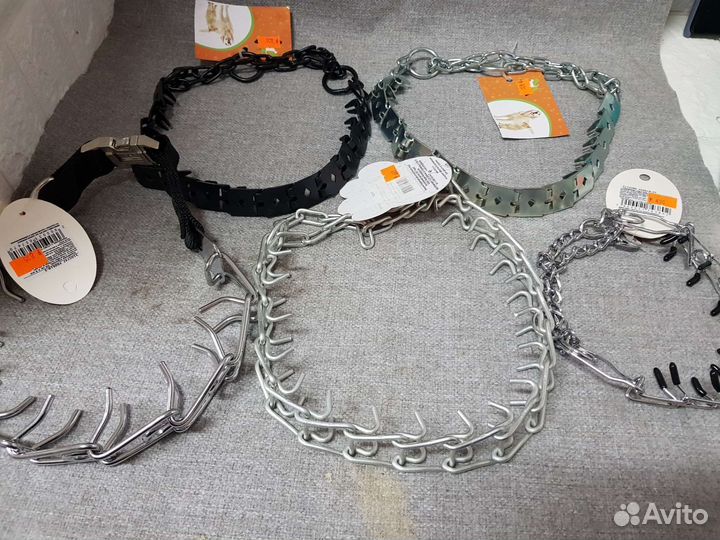 Строгий ошейник