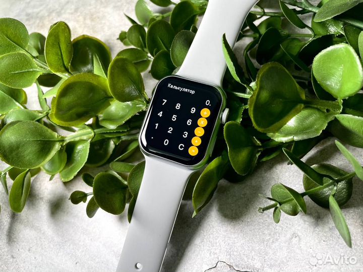 Apple Watch 9 41 mm