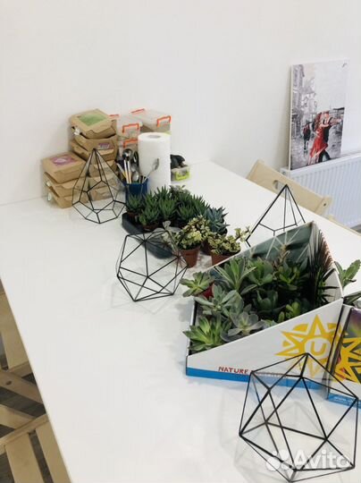 Мастер классы по созданию флорариумов