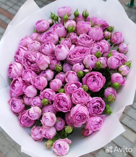 51 101 Роза Букеты Цветы