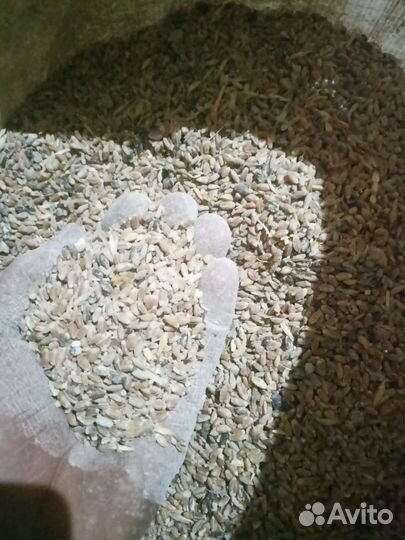 Отруби пшеничные, ячмень, зерноотход, пшеница
