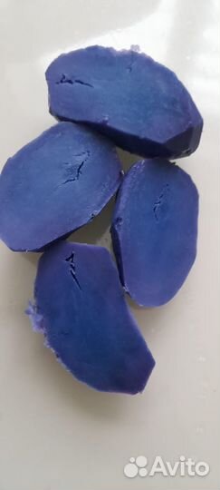 Картофель фиолетовый посевной