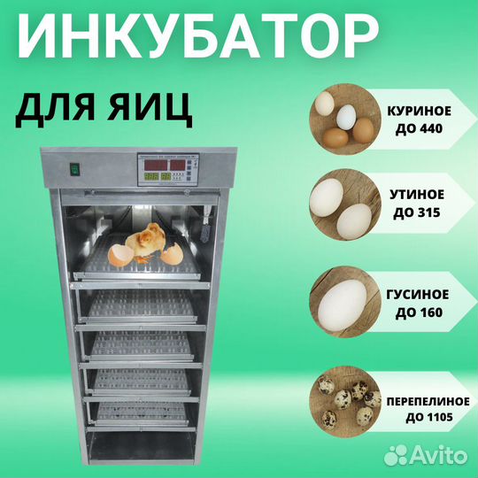 Инкубатор от производителя