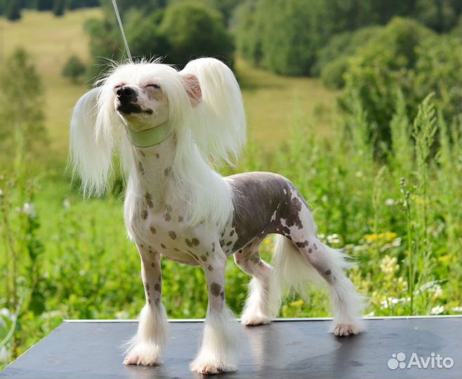 Голая девочка 3 года