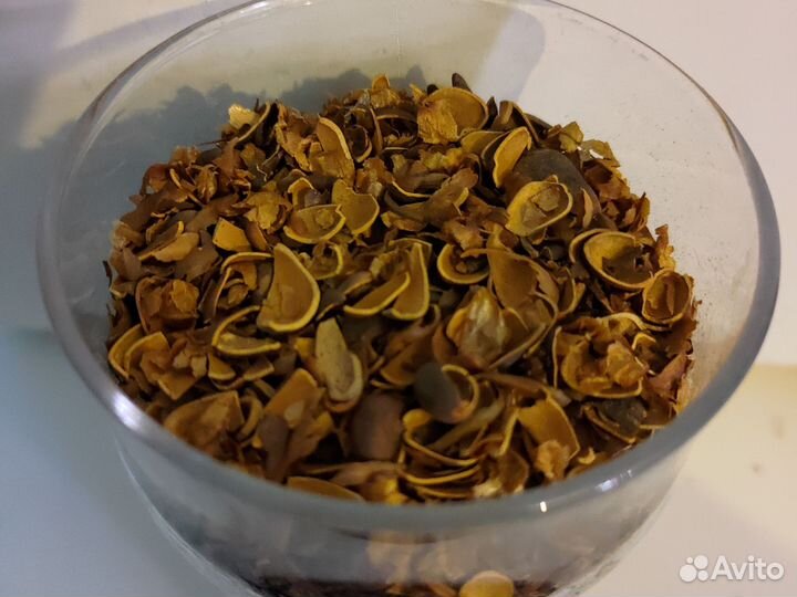 Скорлупа кедрового ореха