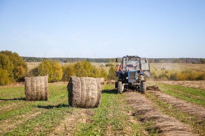 Участок 241,85 га (СНТ, ДНП)