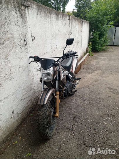 Рейсер Форестер 200