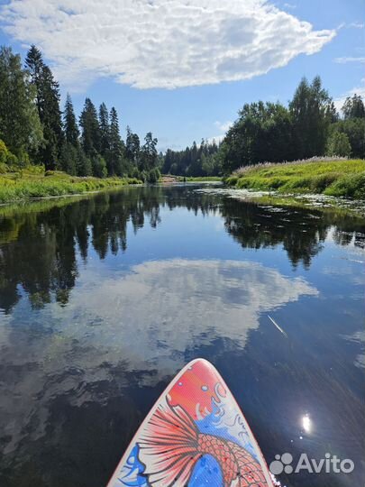 Прогулки на сап бордах и каяках по живописной реке