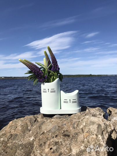 Гипсовый набор 