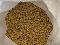 Кукуруза зерно 4,5 кг (для посева)