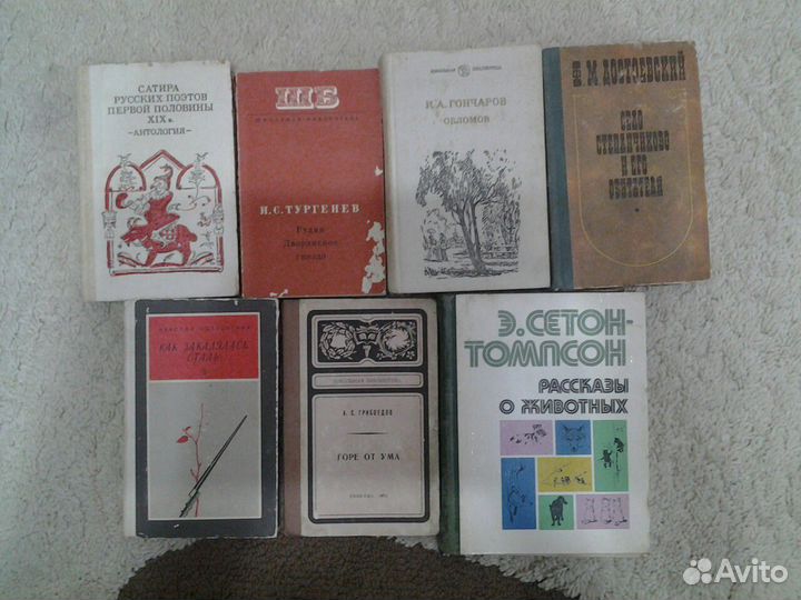 Русская и художественная литература