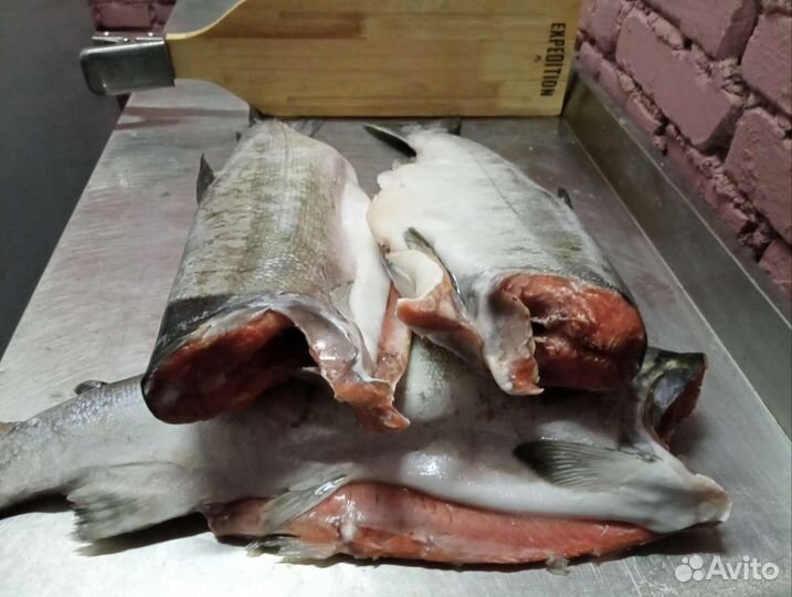 Кижуч лосось Камчатка