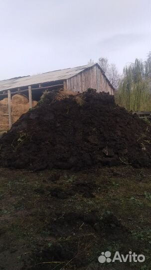 Навоз перегной