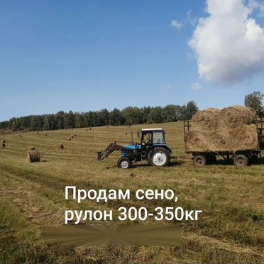 Продажа сено в рулонах
