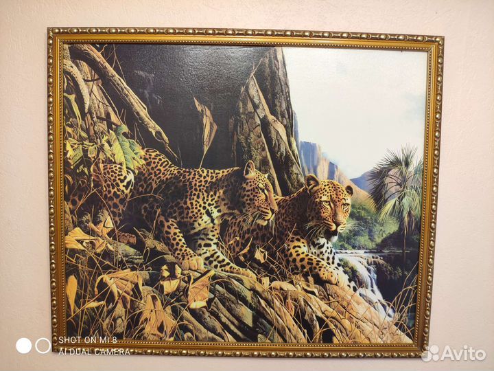 Картина семья кошачьих леопардов