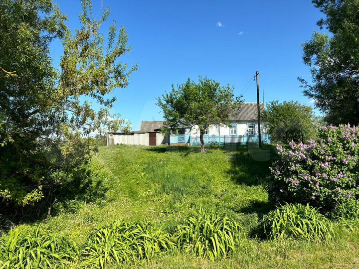 Дом 49 м² на участке 33 сот.