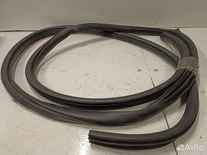 Уплотнитель проема задний правый Nissan Murano Z51