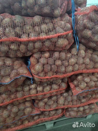 Продам картофель оптом