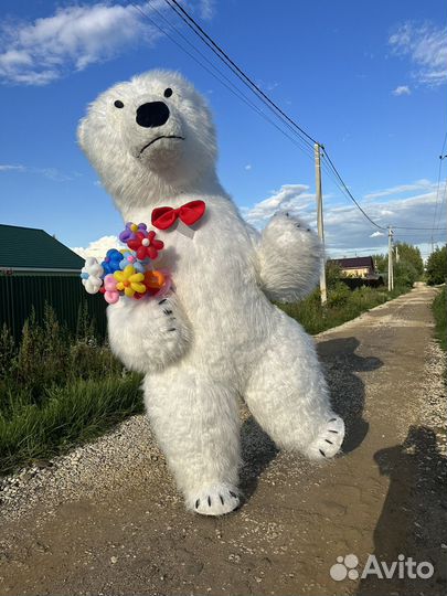 Белый мишка, панда, чебурашка на праздник