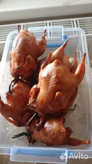 Коптильня профи 200