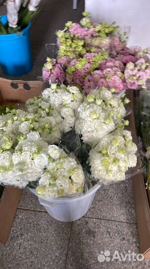 Оптовый склад цветов