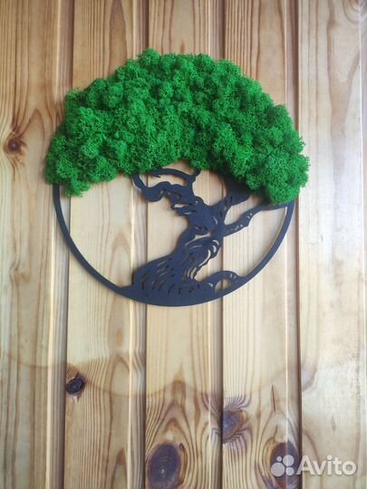 Настенное панно из стабилизированного мха