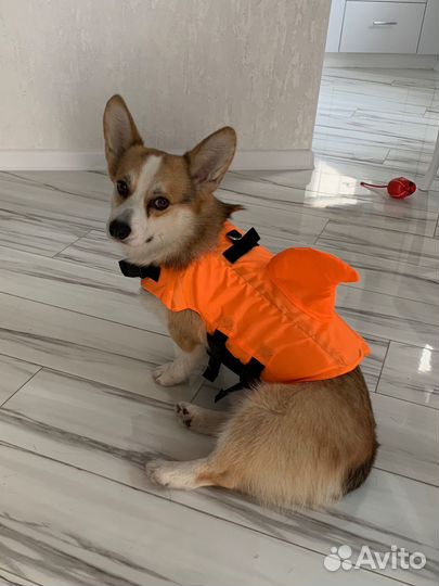 Жилет спасательный плавательный для собаки 