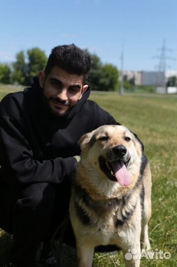 Молодой игривый Джем ищет семью